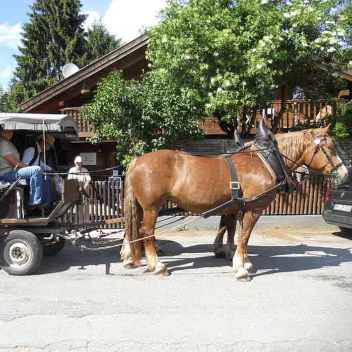 kutschfahrt-2012-tagespflege-weilheim-1