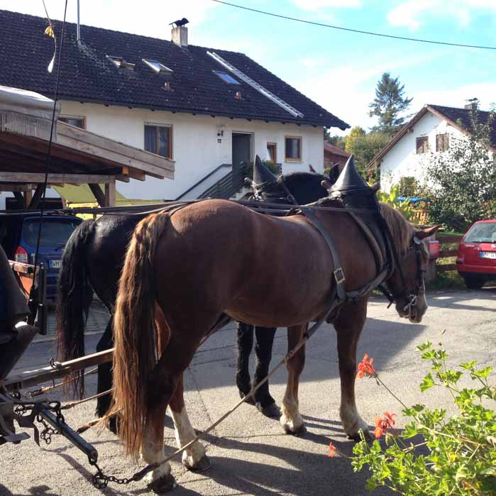 kutschfahrt-2012-tagespflege-weilheim-3