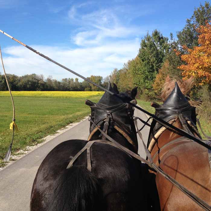 kutschfahrt-2012-tagespflege-weilheim-6