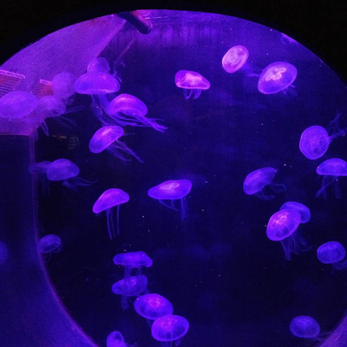 sealife-tagespflege-villa-via-vita-bei-weilheim-7
